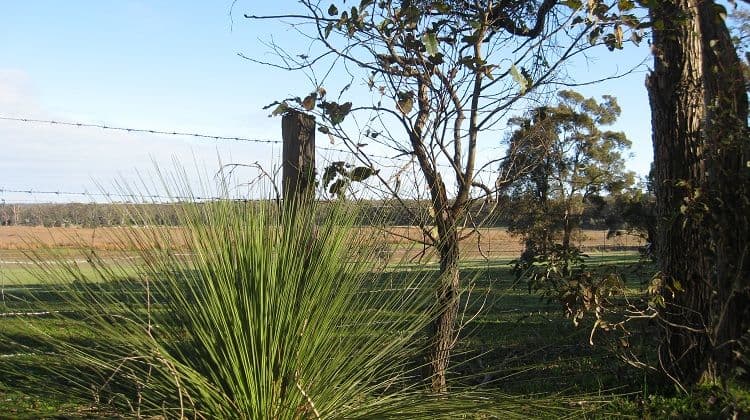 14 Balyan Retreat, MANJIMUP WA 6258, Manjimup - Image 1