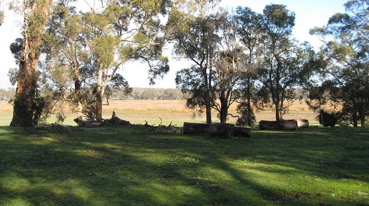 14 Balyan Retreat, MANJIMUP WA 6258, Manjimup - Thumbnail 2