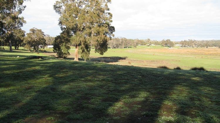 14 Balyan Retreat, MANJIMUP WA 6258, Manjimup - Thumbnail 3