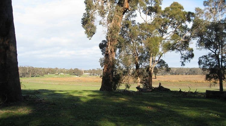14 Balyan Retreat, MANJIMUP WA 6258, Manjimup - Thumbnail 6