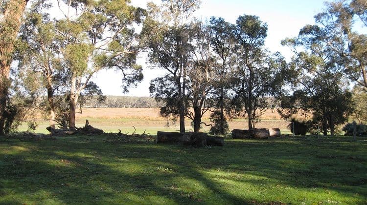 14 Balyan Retreat, MANJIMUP WA 6258, Manjimup - Thumbnail 8
