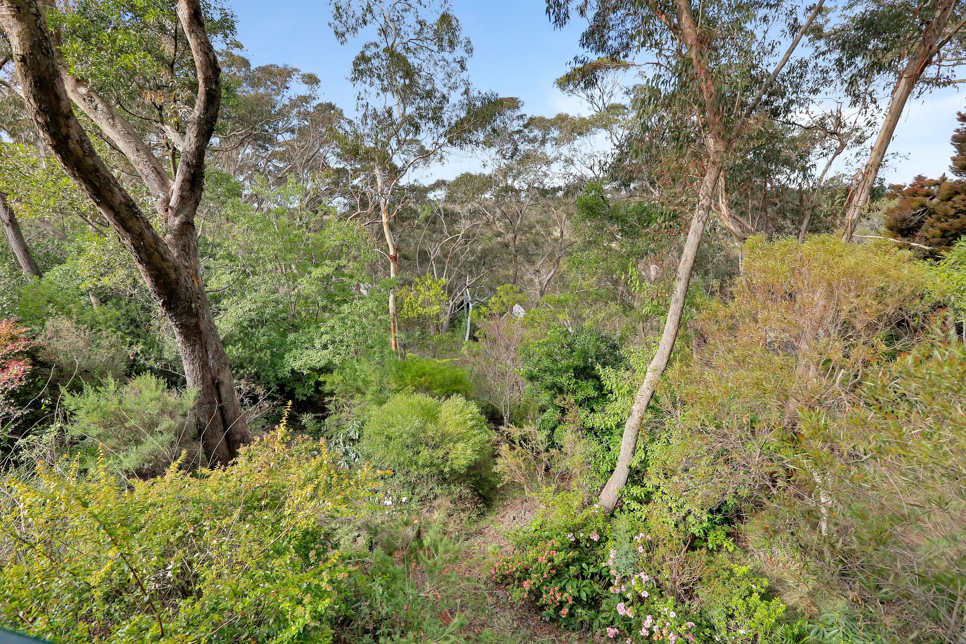 27 Lawrence Street, Blackheath NSW 2785, Blackheath - Thumbnail 8