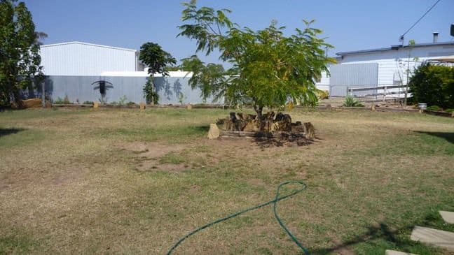 3 Wonga Street, LONGREACH QLD 4730, Longreach - Thumbnail 4