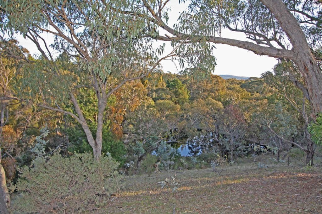 670 Macs Reef Road, Bywong NSW 2621, Bywong - Thumbnail 8