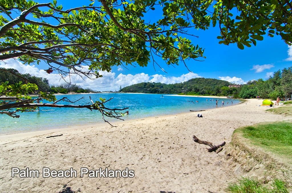 1187 Gold Coast Highway, Palm Beach QLD 4221, Palm Beach - Thumbnail 8