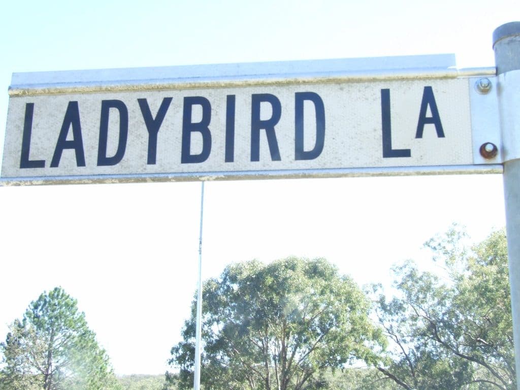 4 Ladybird Lane, Crows Nest QLD 4355, Crows Nest - Thumbnail 3