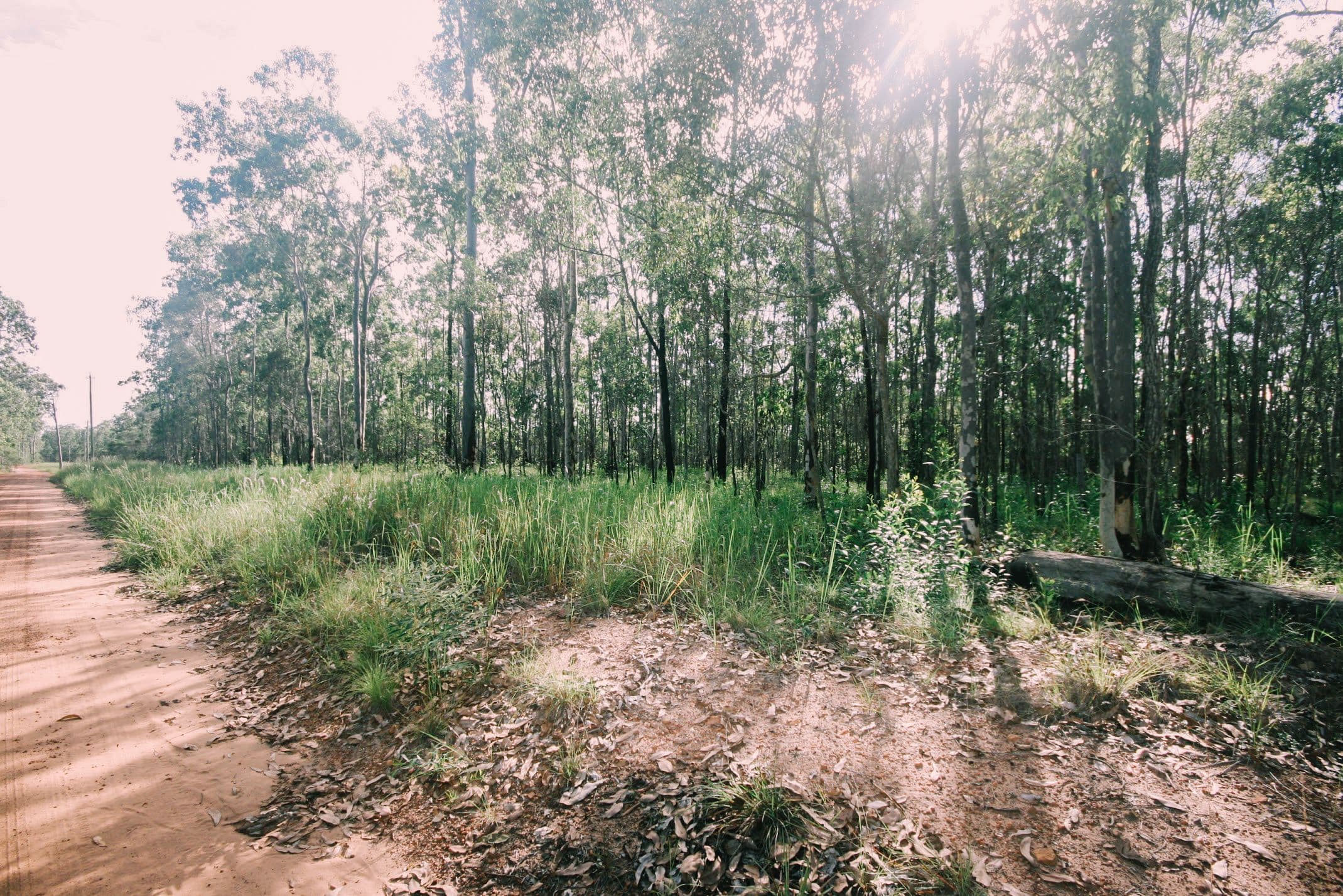 Lot 3-369 Fortis Creek Road, Fortis Creek NSW 2460, Fortis Creek - Image 1