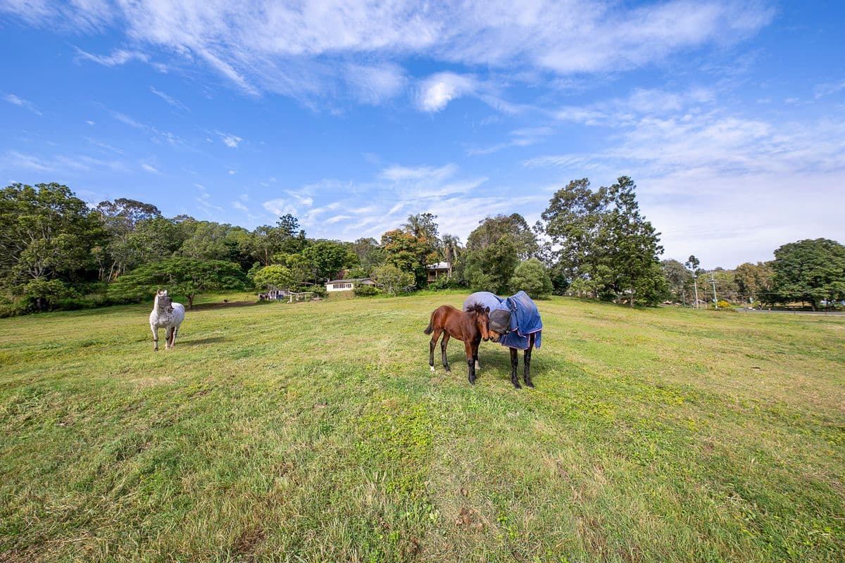 140 Cliveden Avenue, Corinda QLD 4075, Corinda - Thumbnail 2