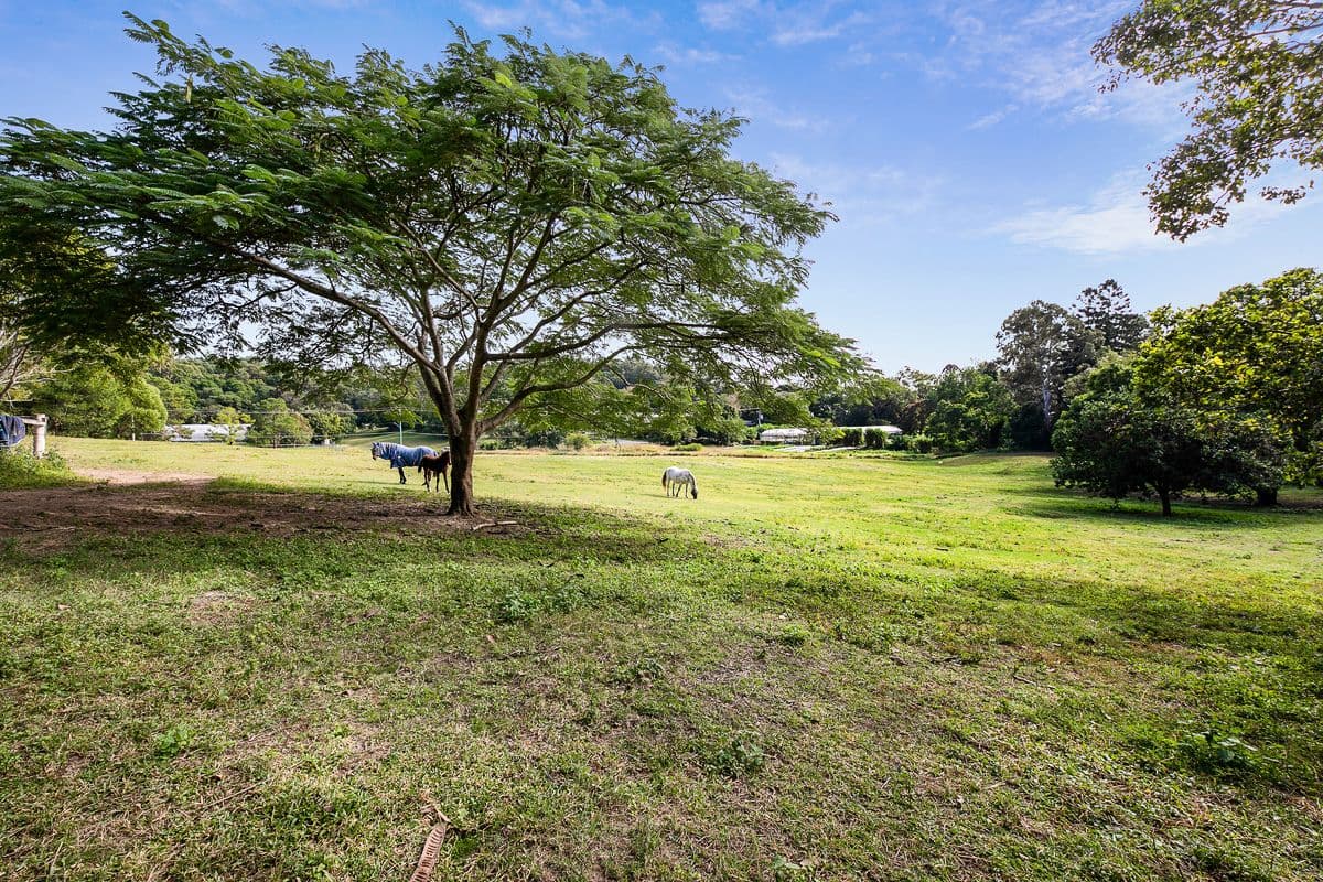 140 Cliveden Avenue, Corinda QLD 4075, Corinda - Thumbnail 5