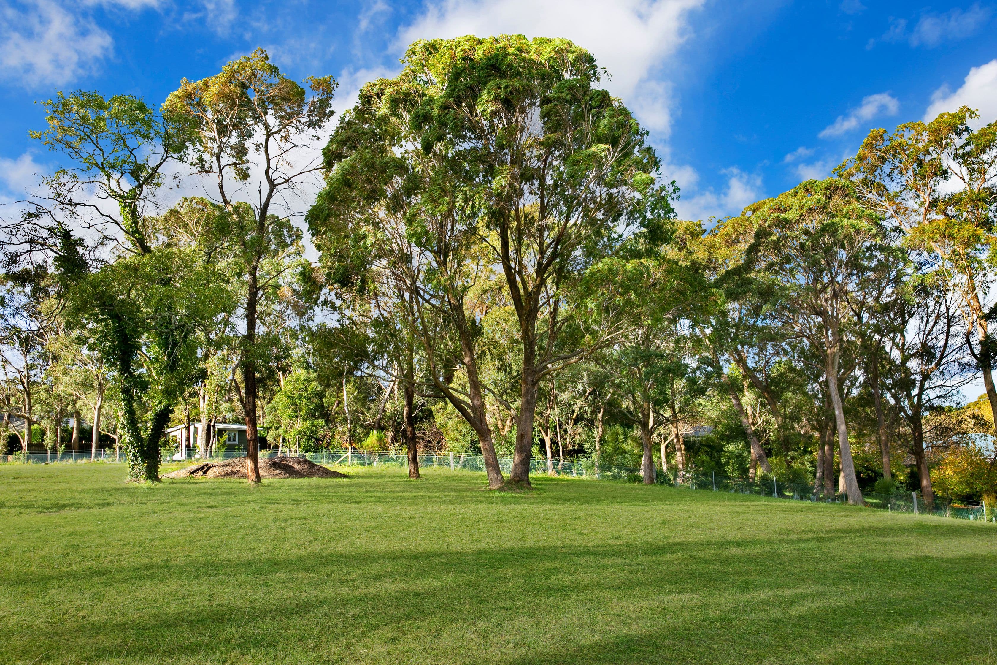 59C Sunninghill Avenue, Burradoo NSW 2576, Burradoo - Thumbnail 4
