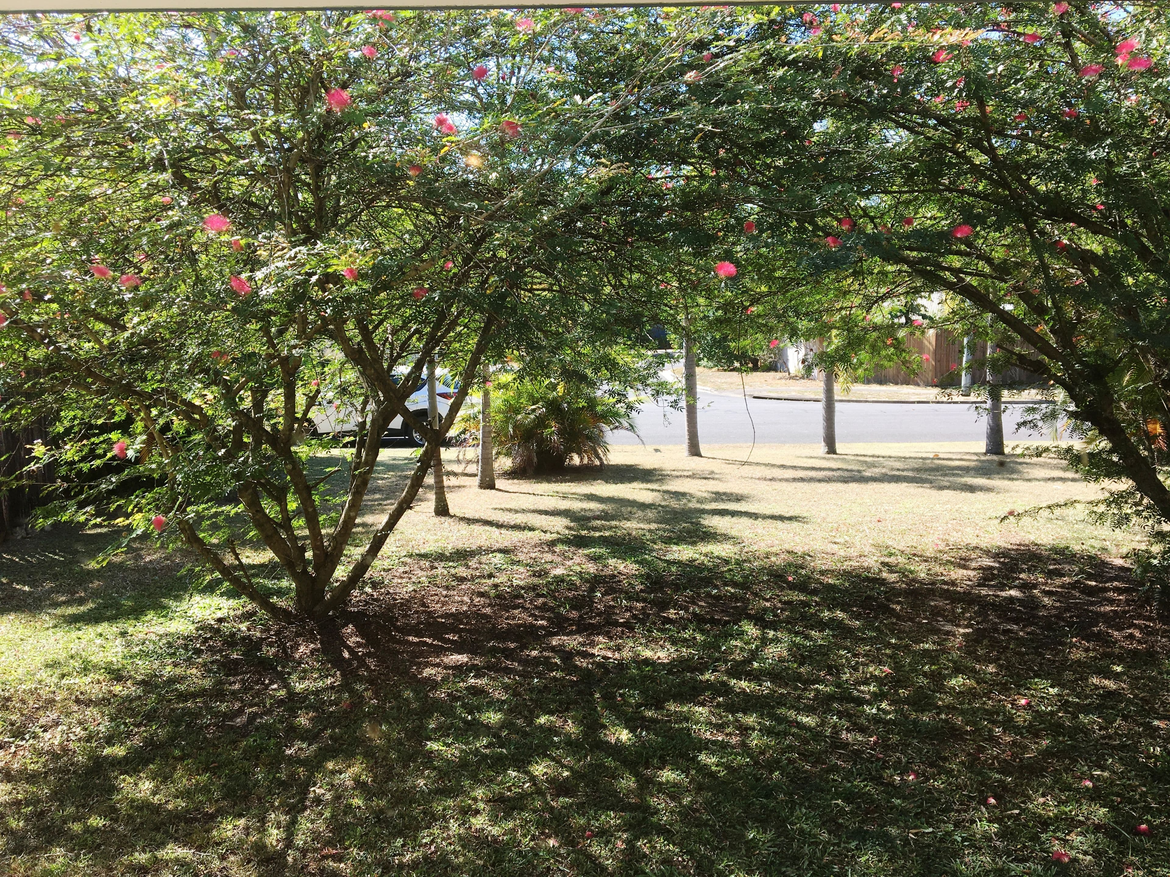 42 Marlin Drive, Wonga Beach QLD 4873, Wonga Beach - Thumbnail 5