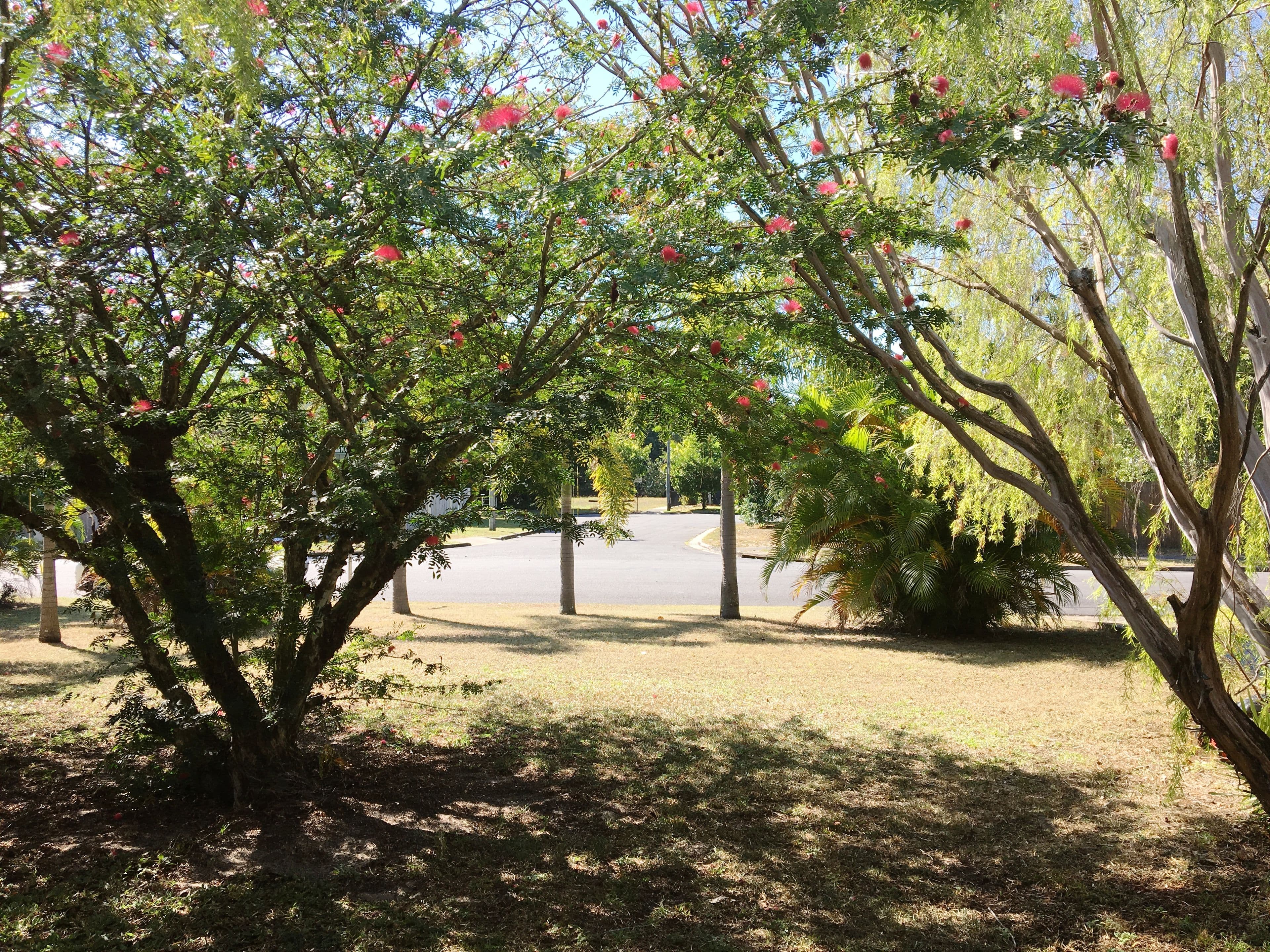 42 Marlin Drive, Wonga Beach QLD 4873, Wonga Beach - Thumbnail 6