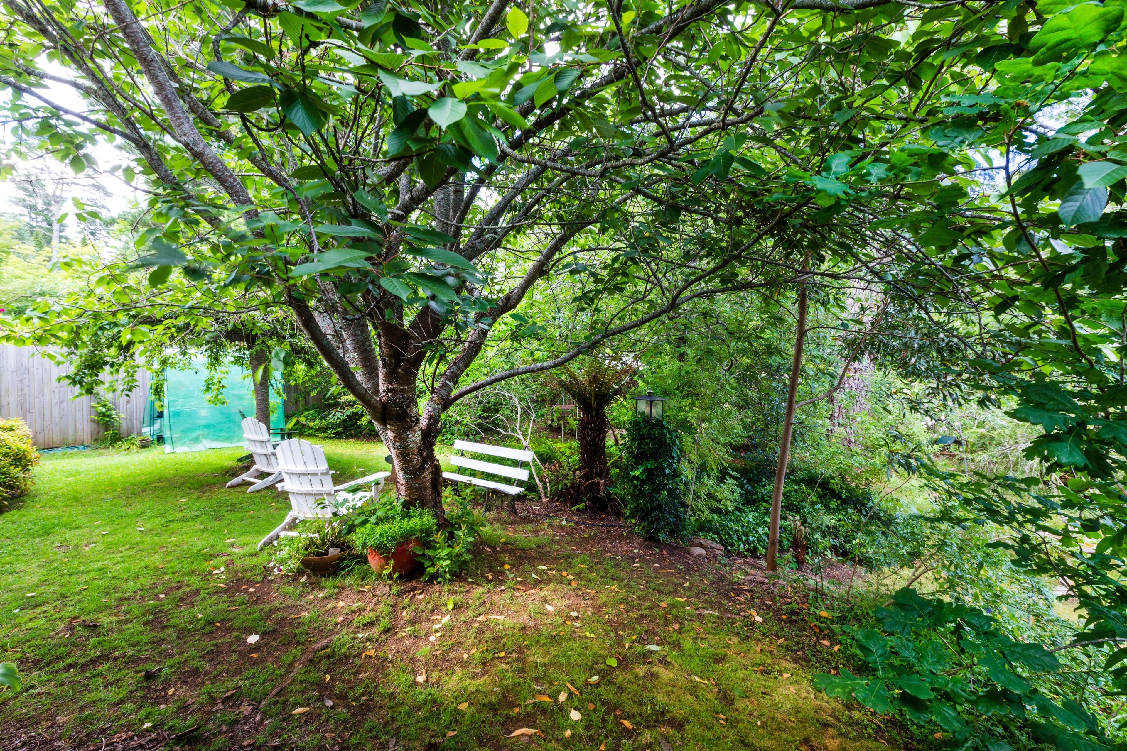 28 Romaine Street, Blackheath - Thumbnail 7
