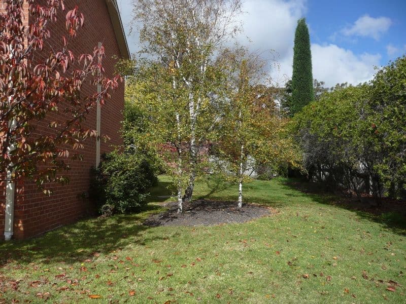 11 Funston Street, BOWRAL NSW 2576, Bowral - Thumbnail 4