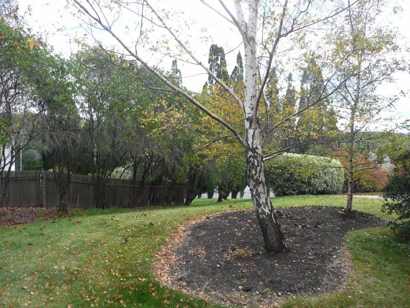 11 Funston Street, BOWRAL NSW 2576, Bowral - Thumbnail 6