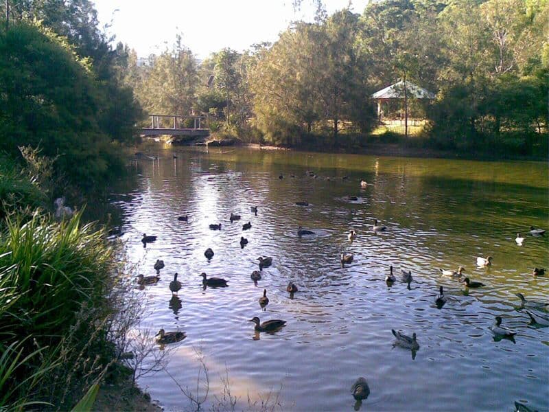 250  Prices Circuit, WORONORA NSW 2232, Woronora - Thumbnail 6
