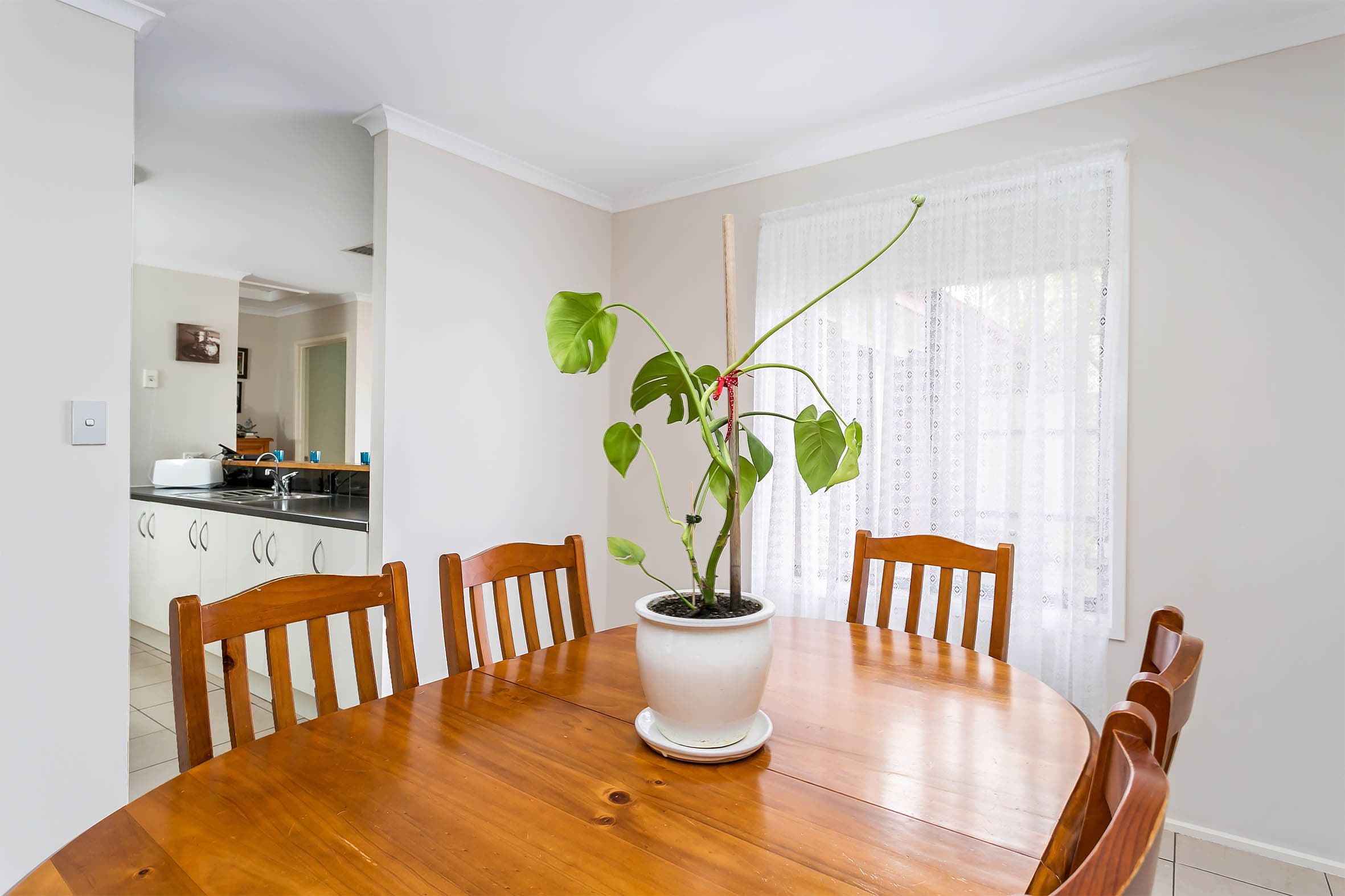 12 Allenby Road, Ottoway SA 5013, Ottoway - Thumbnail 6