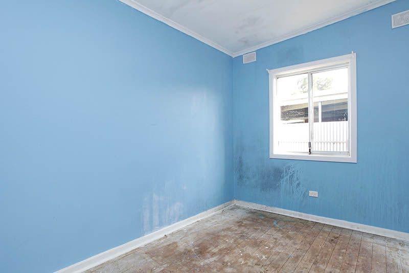 7 O'brien Street, Davoren Park SA 5113, Davoren Park - Thumbnail 6