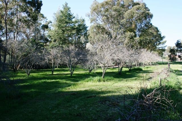 Lot 591 Old Blyth Road, ARMAGH SA 5453, Armagh - Thumbnail 5