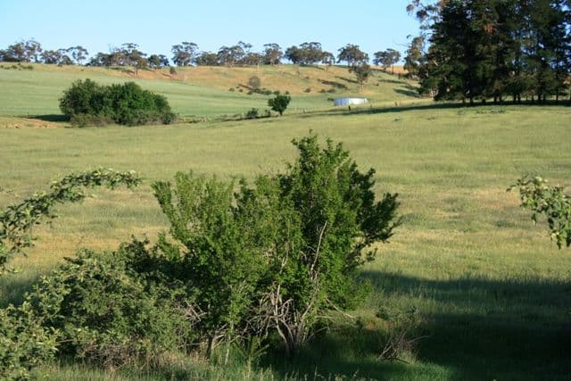 Lot 591 Old Blyth Road, ARMAGH SA 5453, Armagh - Thumbnail 6