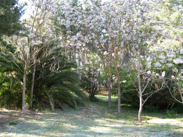 Lot 591 Old Blyth Road, ARMAGH SA 5453, Armagh - Thumbnail 8