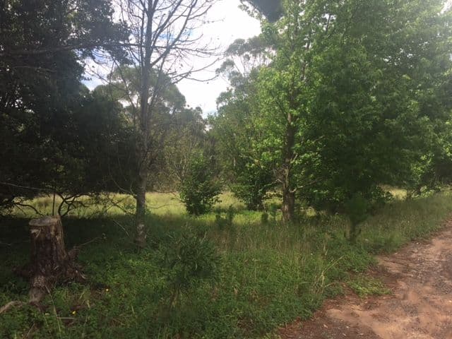 92-94 Bells Line Of Road, Bell NSW 2786, Bell - Thumbnail 2