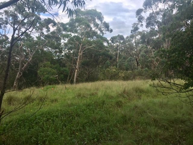 92-94 Bells Line Of Road, Bell NSW 2786, Bell - Thumbnail 4