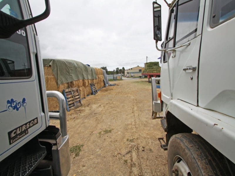 31 King Street, Bungendore NSW 2621, Bungendore - Thumbnail 4