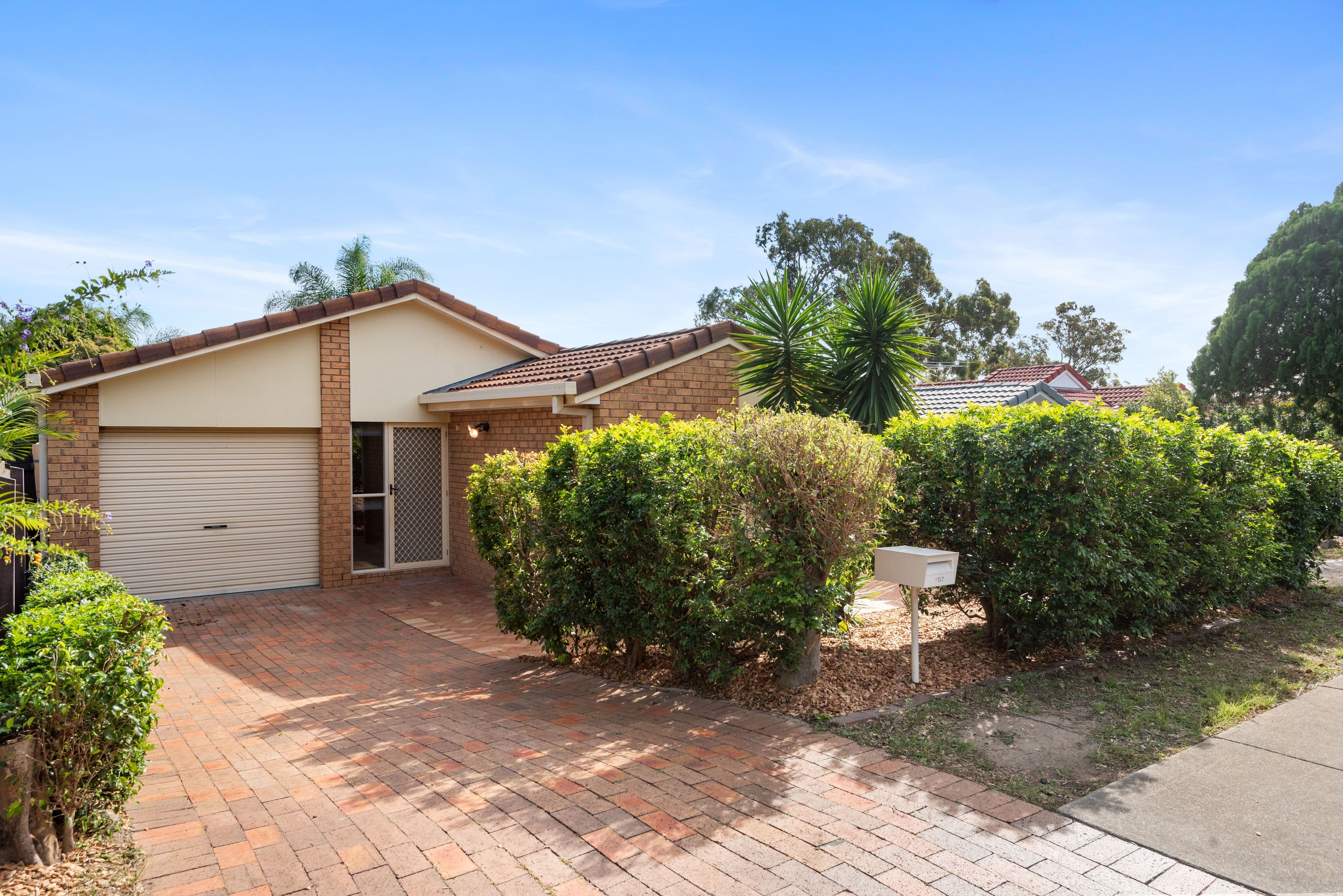 107 Ditton Road, Sunnybank Hills QLD 4109, Sunnybank Hills - Image 1