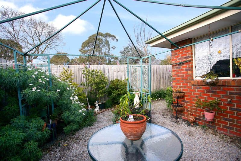 52 Austin Street, FERNTREE GULLY VIC 3156, Ferntree Gully - Thumbnail 7
