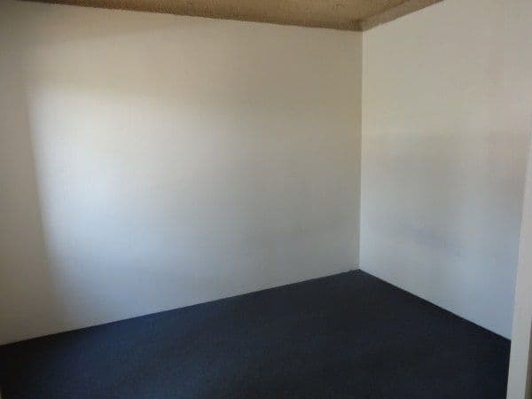 42 Copeland Street, LIVERPOOL NSW 2170, Liverpool - Thumbnail 5