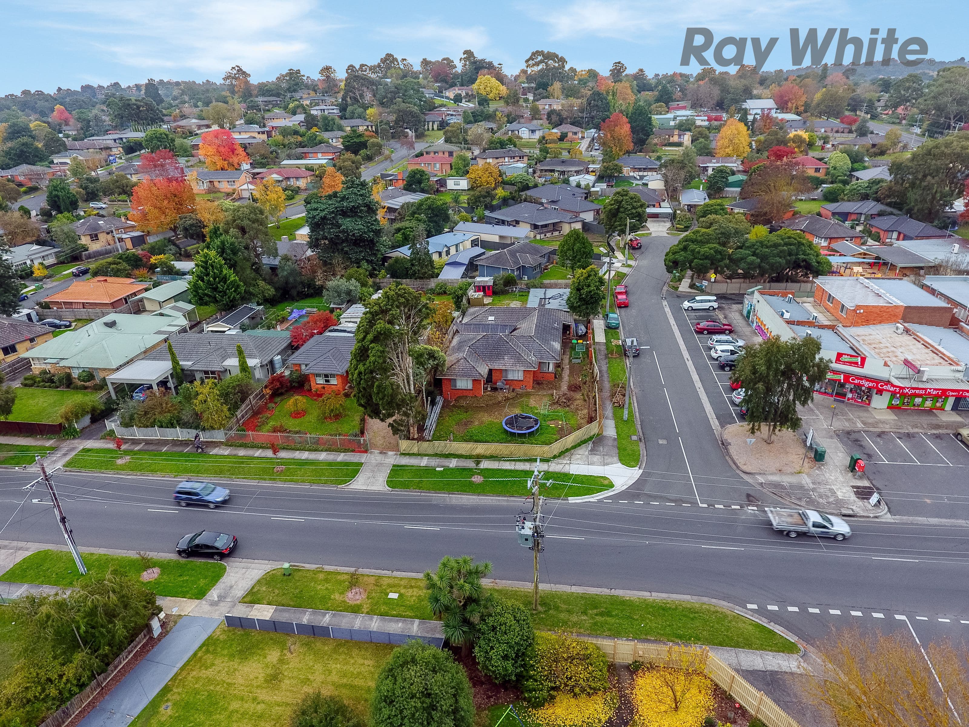 95 CARDIGAN Road, Mooroolbark VIC 3138, Mooroolbark - Thumbnail 3