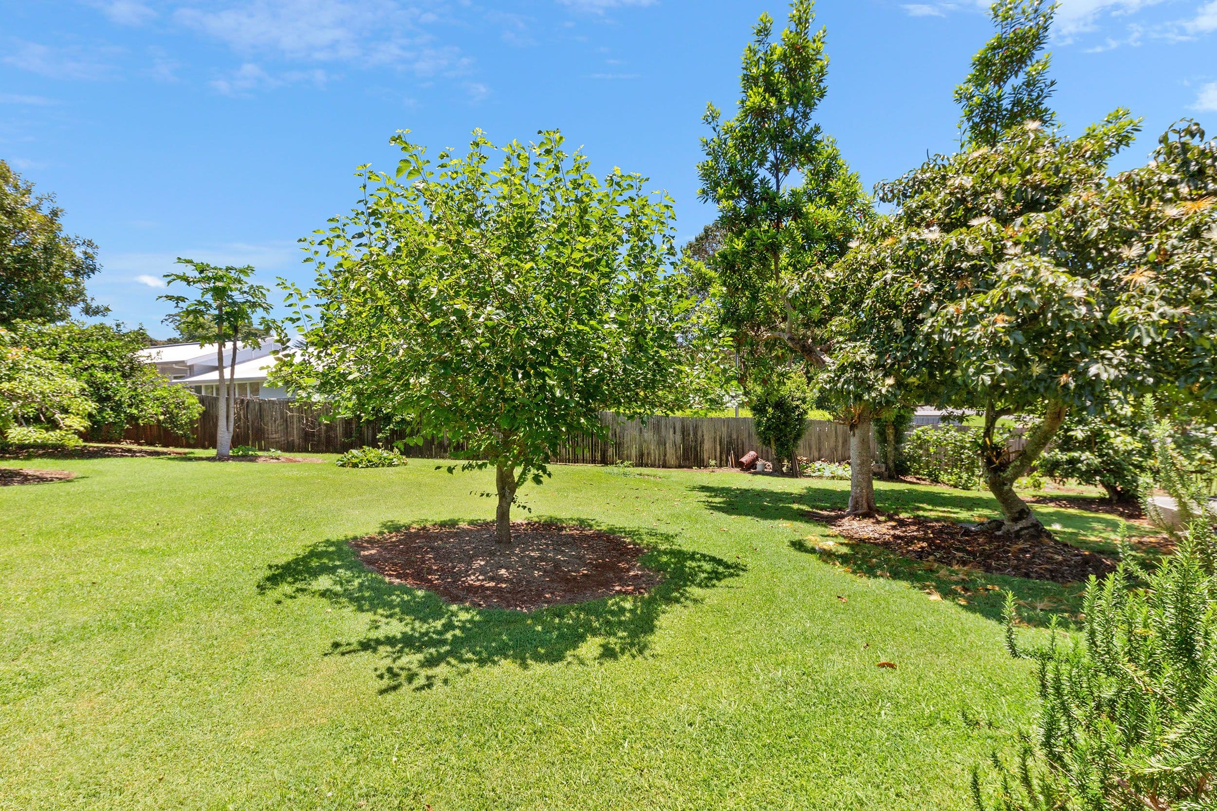 41 Licuala Drive, Tamborine Mountain QLD 4272, Tamborine Mountain - Image 1
