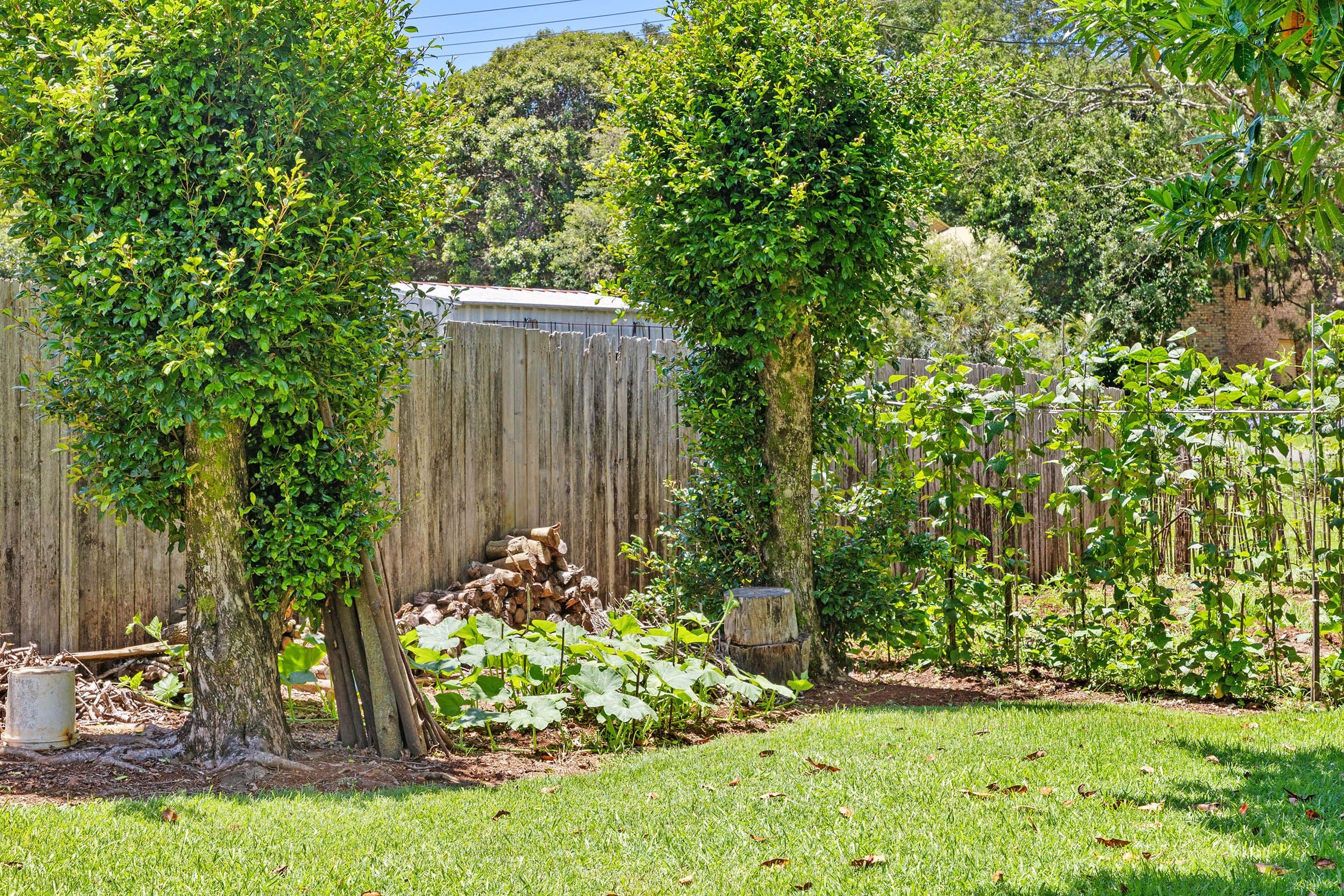 41 Licuala Drive, Tamborine Mountain QLD 4272, Tamborine Mountain - Thumbnail 4