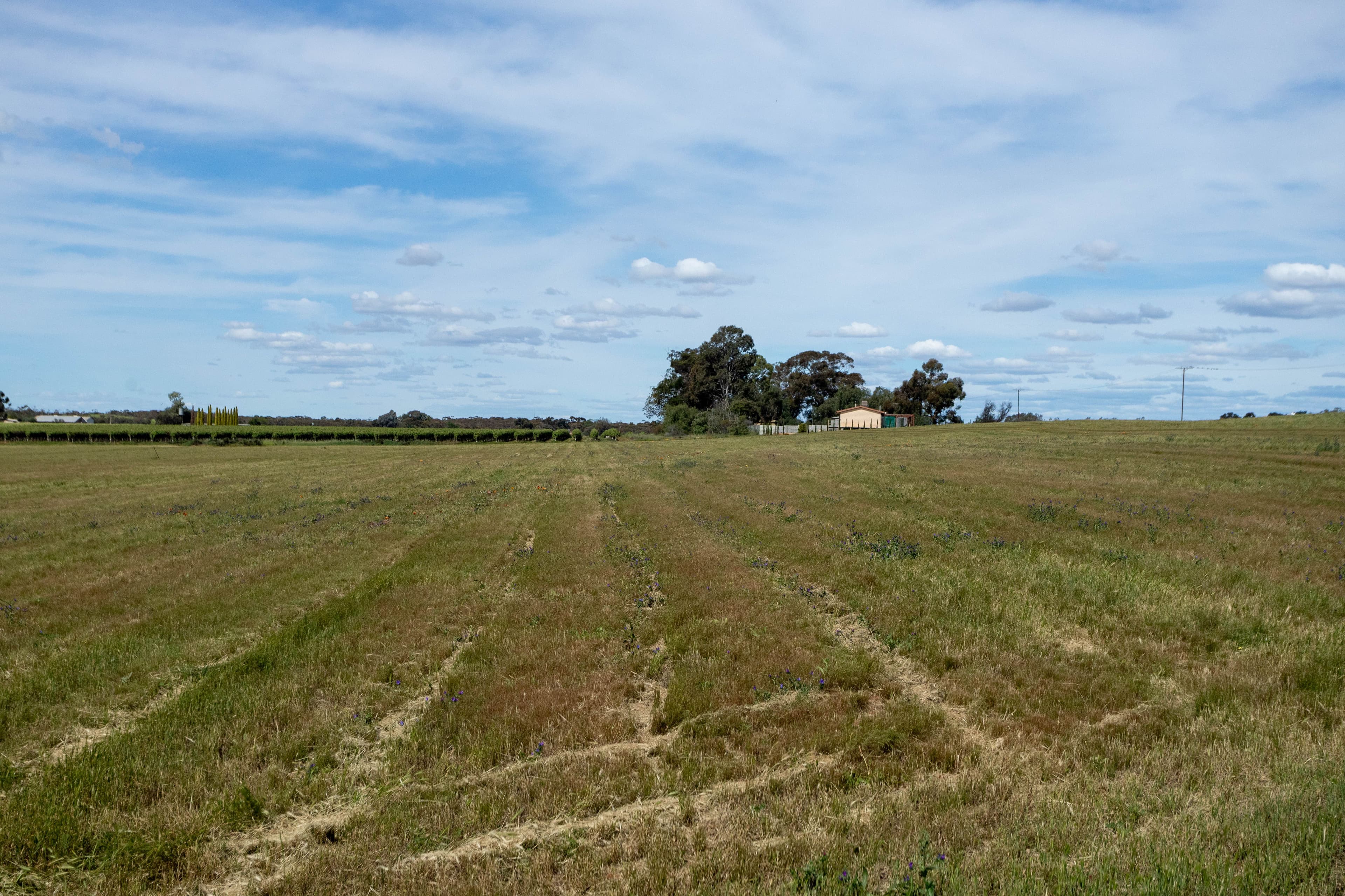 265 Puddletown Road, Winkie SA 5343, Winkie - Thumbnail 3