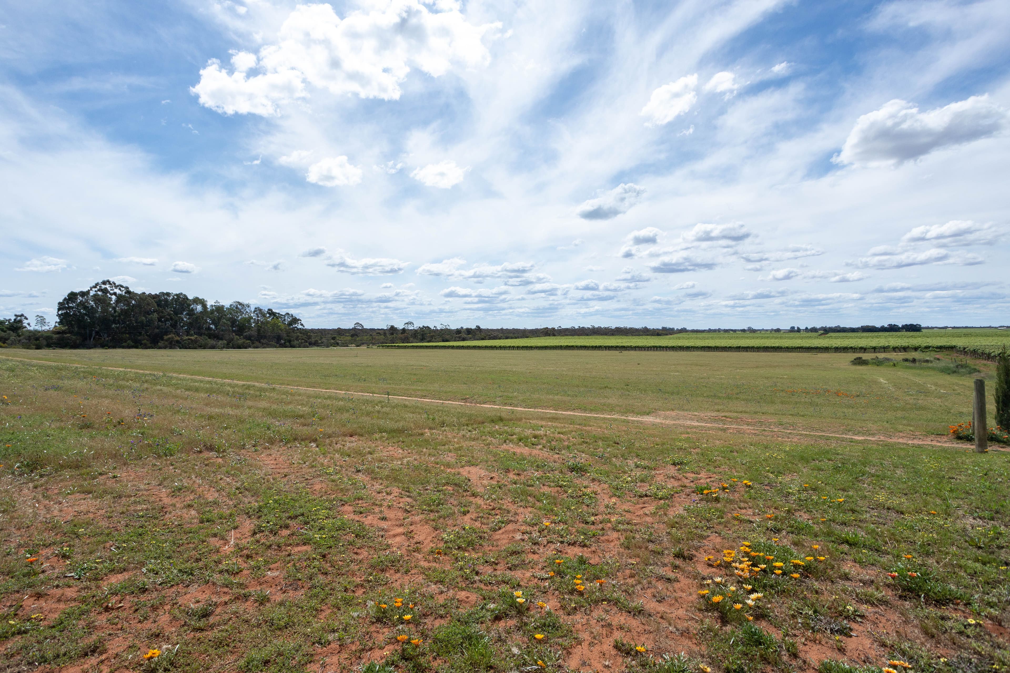 265 Puddletown Road, Winkie SA 5343, Winkie - Thumbnail 4