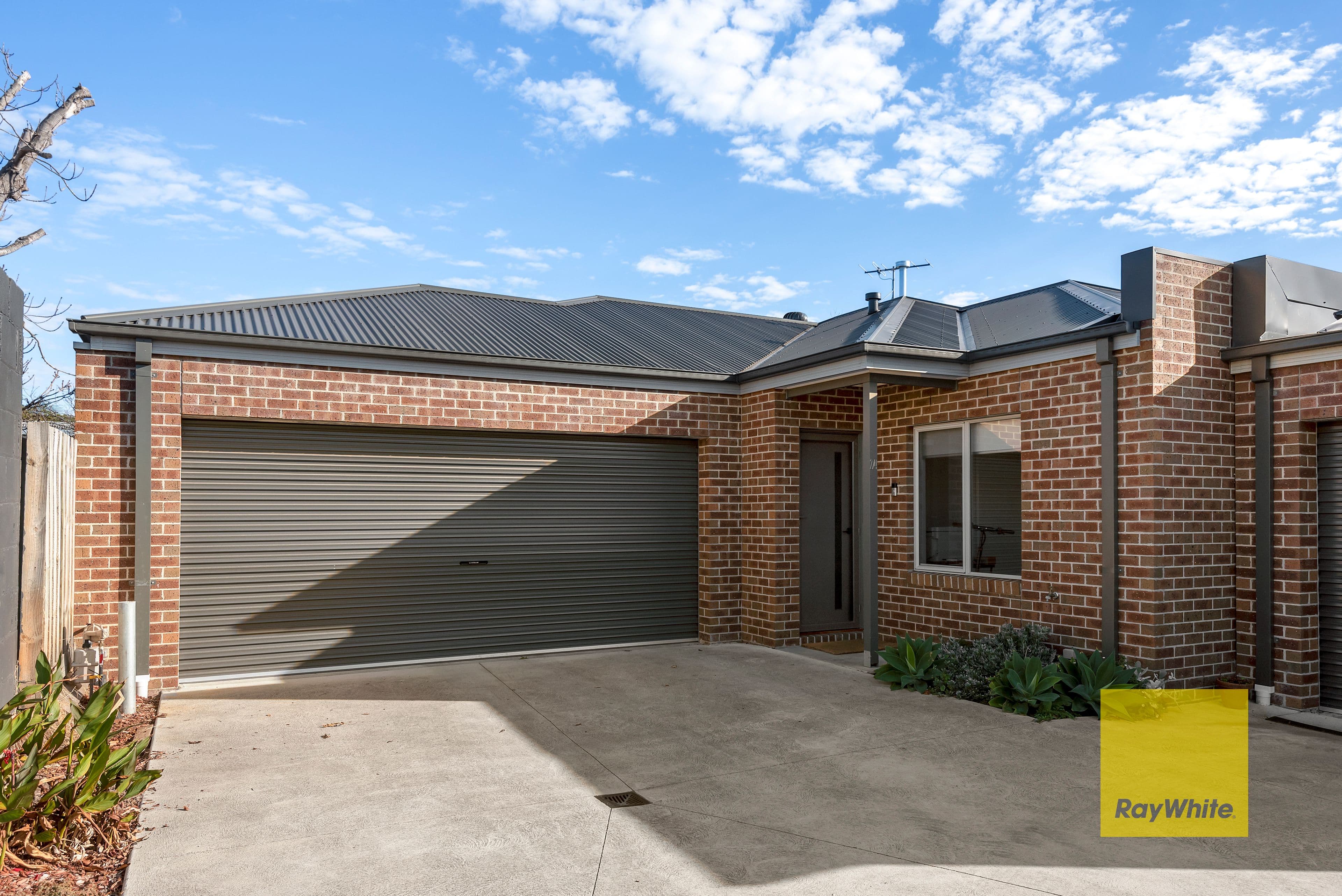 4 Settlement Road, Belmont VIC 3216, Belmont - Thumbnail 3
