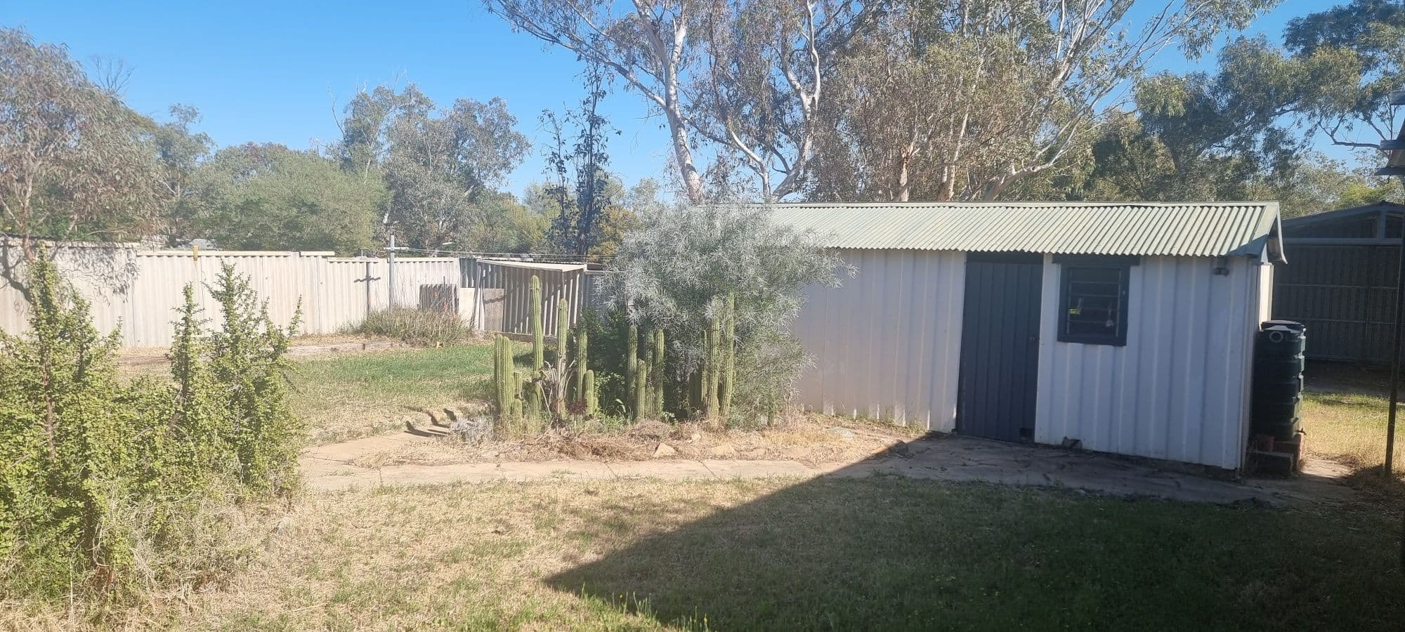 11 Moore Street, Mingenew WA 6522, Mingenew - Thumbnail 8