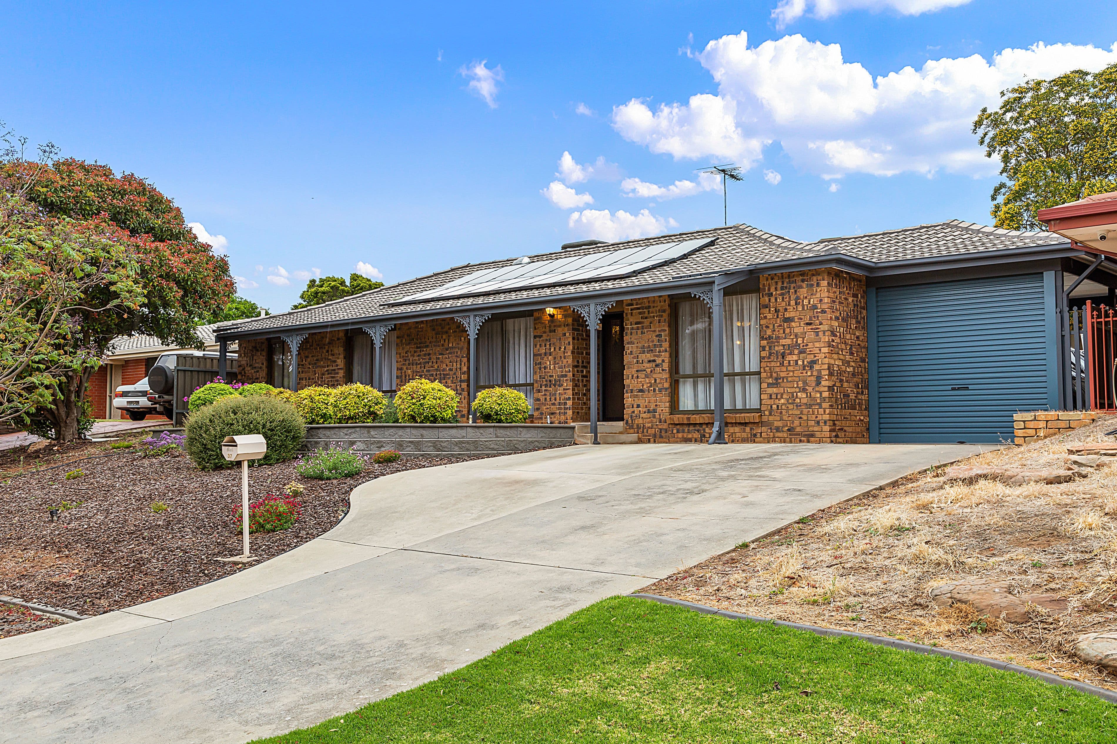 37 Coleman Avenue, Redwood Park SA 5097, Redwood Park - Image 1
