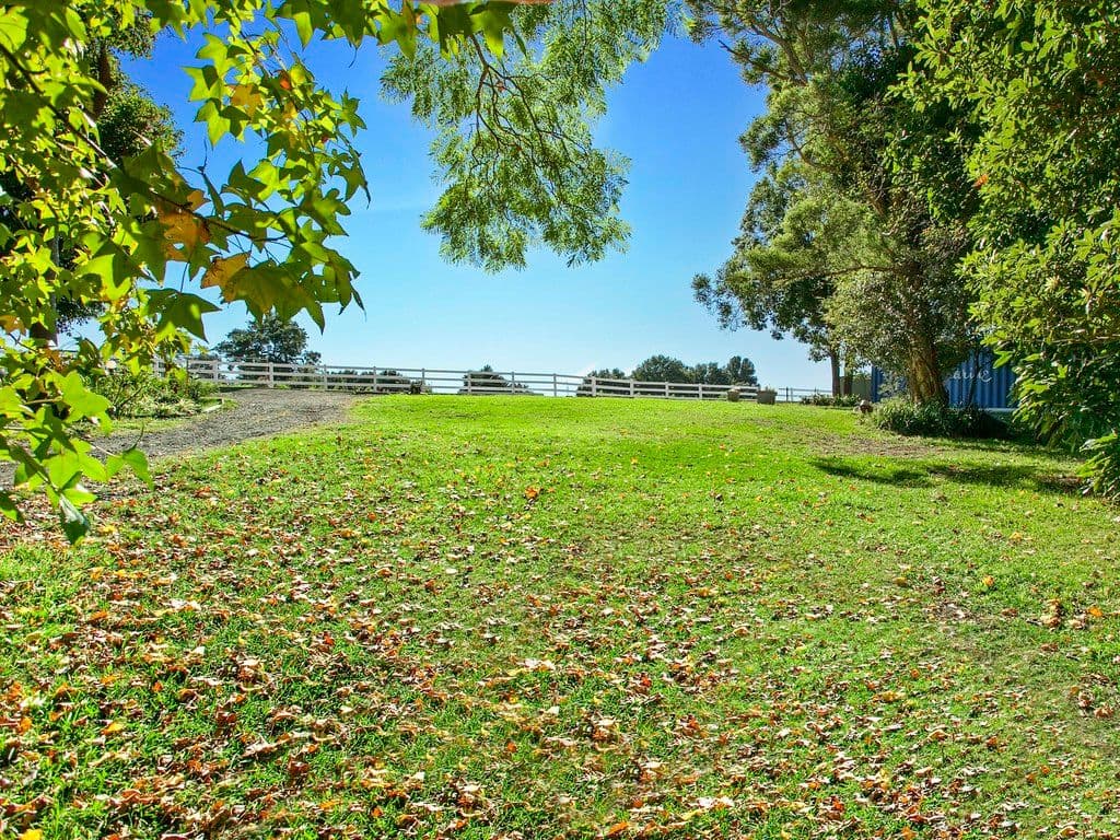 6 Wilford Street, Corrimal NSW 2518, Corrimal - Thumbnail 4