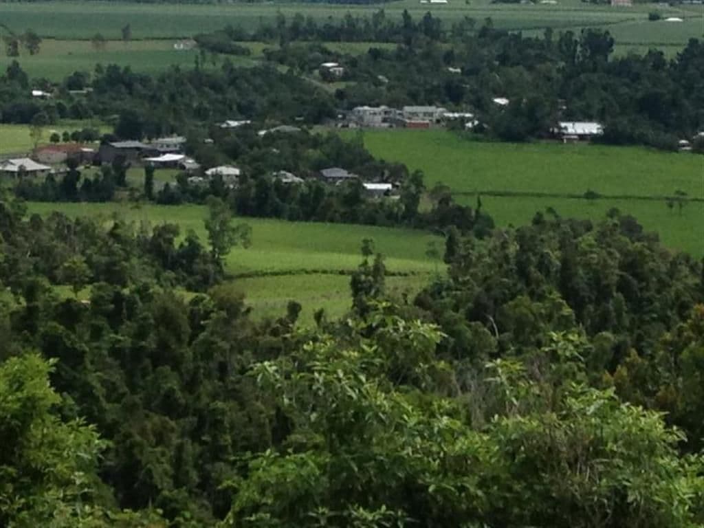 19 De Roma Close, Mena Creek QLD 4871, Mena Creek - Thumbnail 5
