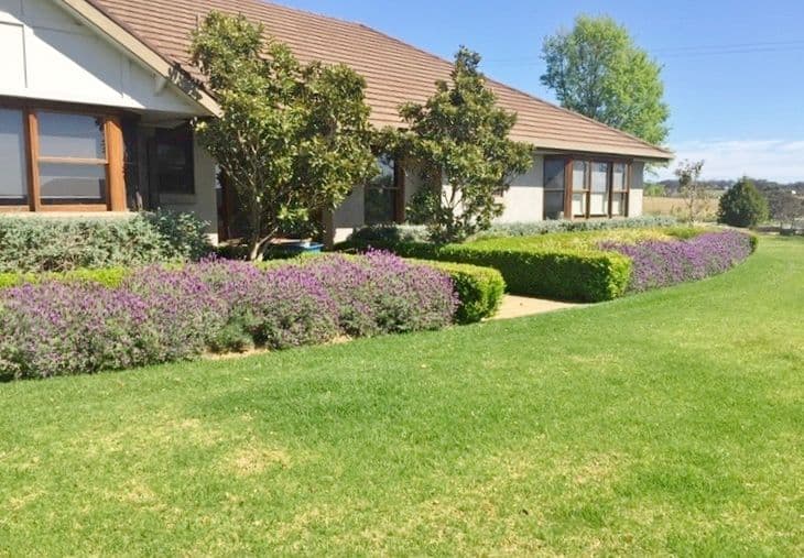 'Werrington' 169 Hartfield Road, Young NSW 2594, Young - Thumbnail 4