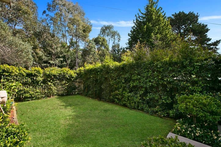 19 Francis Street, NAREMBURN NSW 2065, Naremburn - Thumbnail 5
