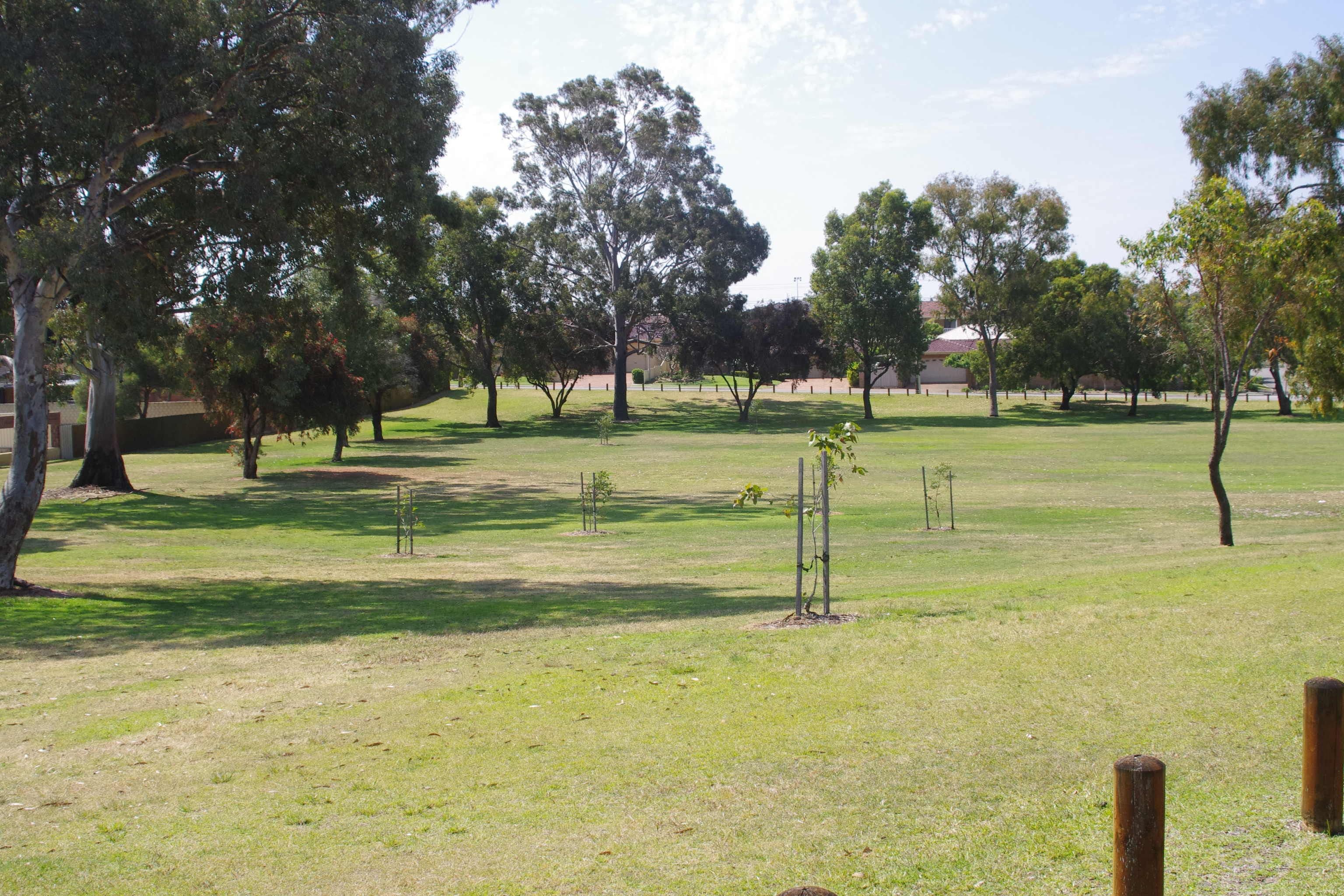 1 Bangalla Place, Balcatta WA 6021, Balcatta - Thumbnail 4