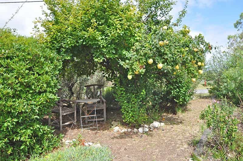 116 Byrnes Road, GOOLWA SA 5214, Goolwa - Thumbnail 3