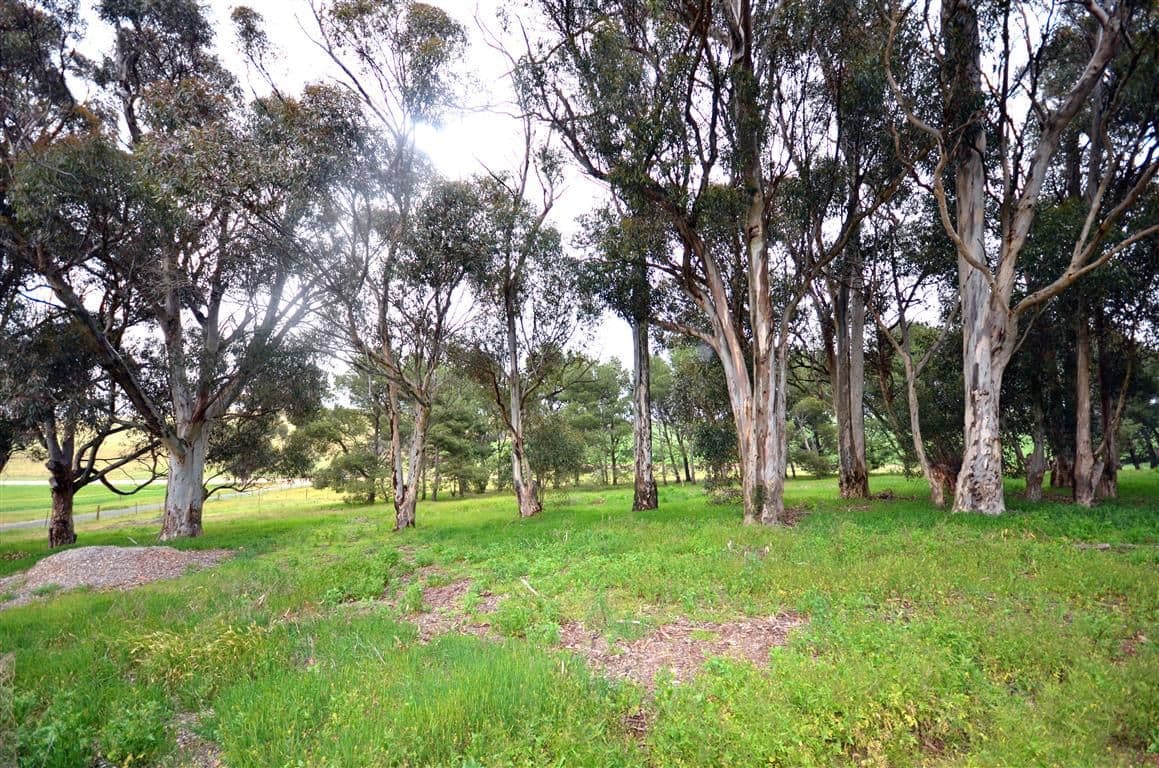 Lot 4 Iron Mine Road HANSON via, Burra SA 5417, Burra - Thumbnail 2