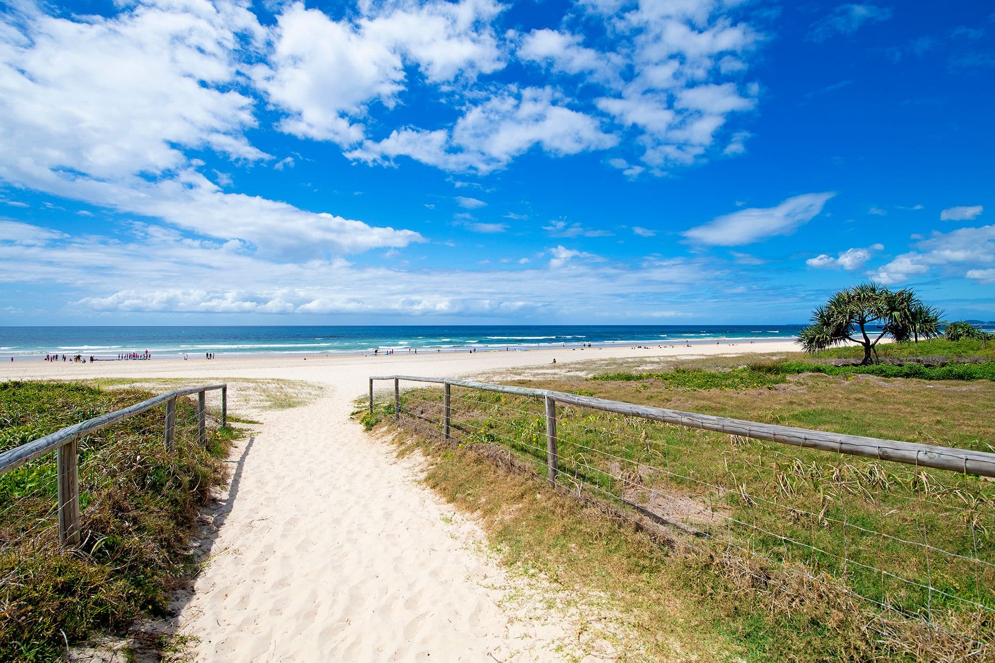 37 Ventura Road, Mermaid Beach QLD 4218, Mermaid Beach - Thumbnail 6