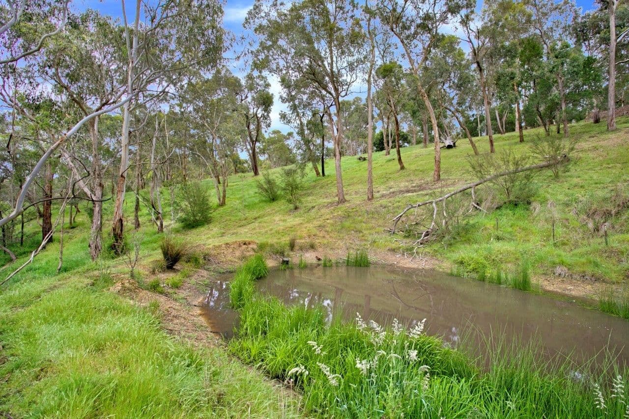 94 McLaughlans Lane, PLENTY VIC 3090, Plenty - Thumbnail 7