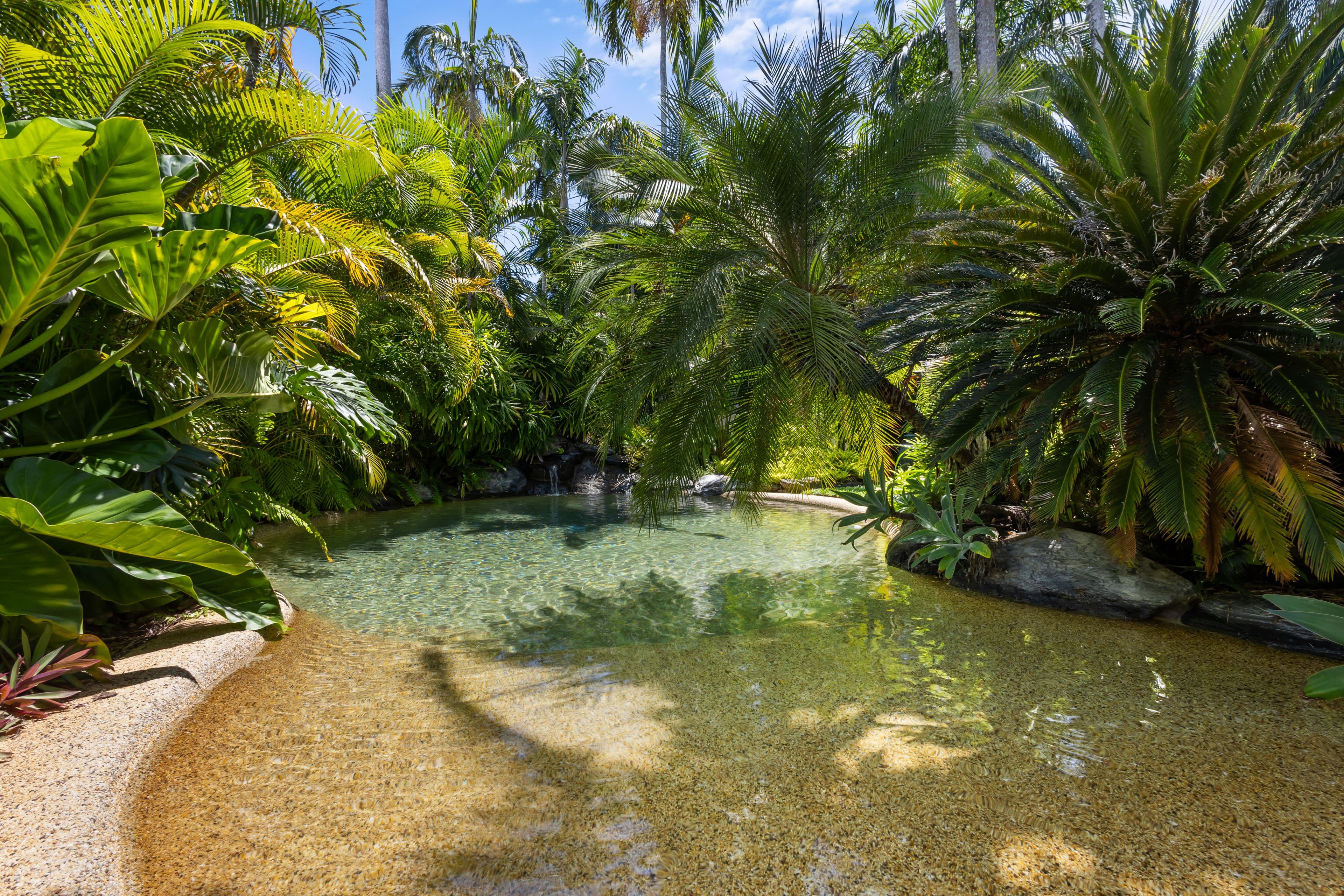63 Reef Street, Port Douglas QLD 4877, Port Douglas - Thumbnail 6