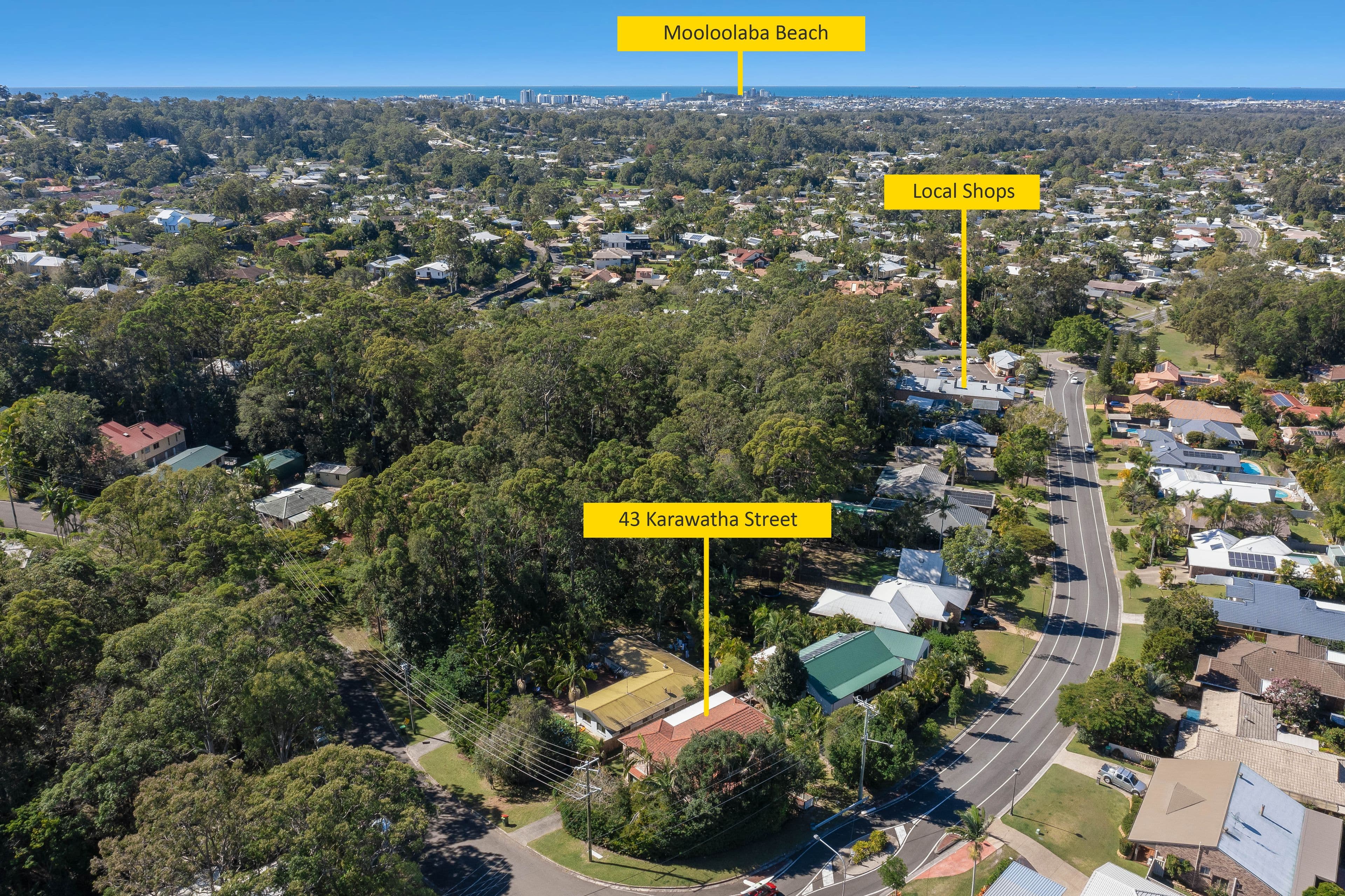 43 Karawatha Street, Buderim QLD 4556, Buderim - Thumbnail 4